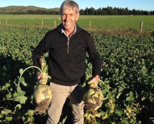 Image of Ken Townley, standing knee deep in a field of swedes. He holds an enormous swede in each hand and is grimacing cheerfully.