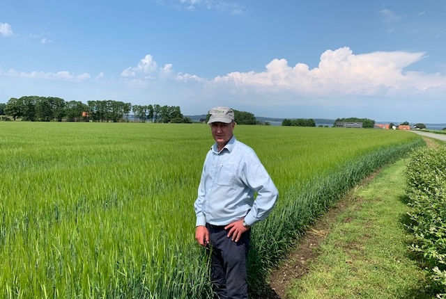 Vincent Luisetti at the Sejet breeding station in a nucleus paddock of CRBA148 barley. This cultivar has done extremely well in this year’s F.A.R cultivar trials and will be available in limited quantities from Luisetti Seeds for sowing this spring