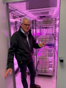 Sejet Director Birger Eriksen with cereal plants grown in agar, the first stage of the Double Haploid breeding process.