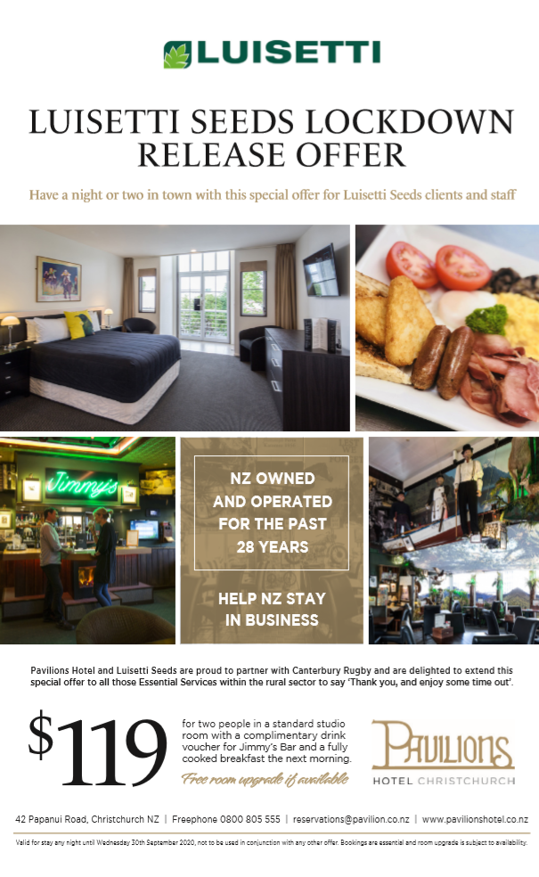 Luisetti Seeds Lockdown release offer: $119 for two people in a standard studio room at the Pavillions hotel with a complimentary drink voucher for Jimmy’s Bar and a fully cooked breakfast the next morning. 