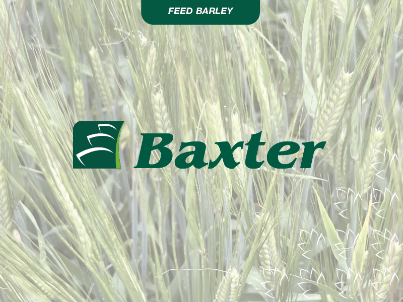 Baxter_Product_Tile