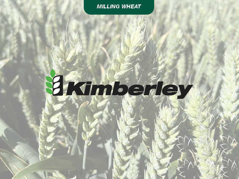 Kimberley_Product_Tile